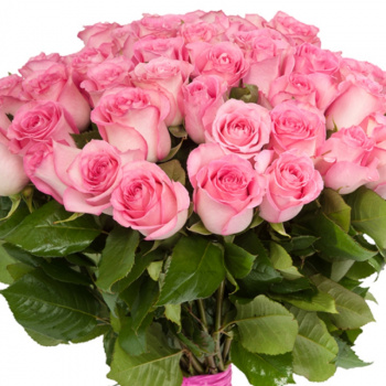 Букет из 55 розовых роз